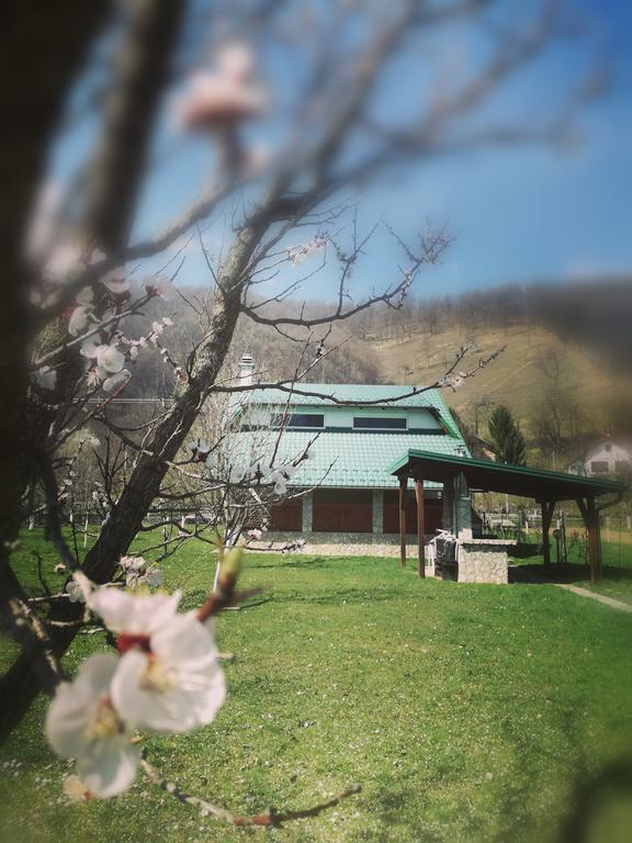 Mila Holiday Home Lohovo 外观 照片
